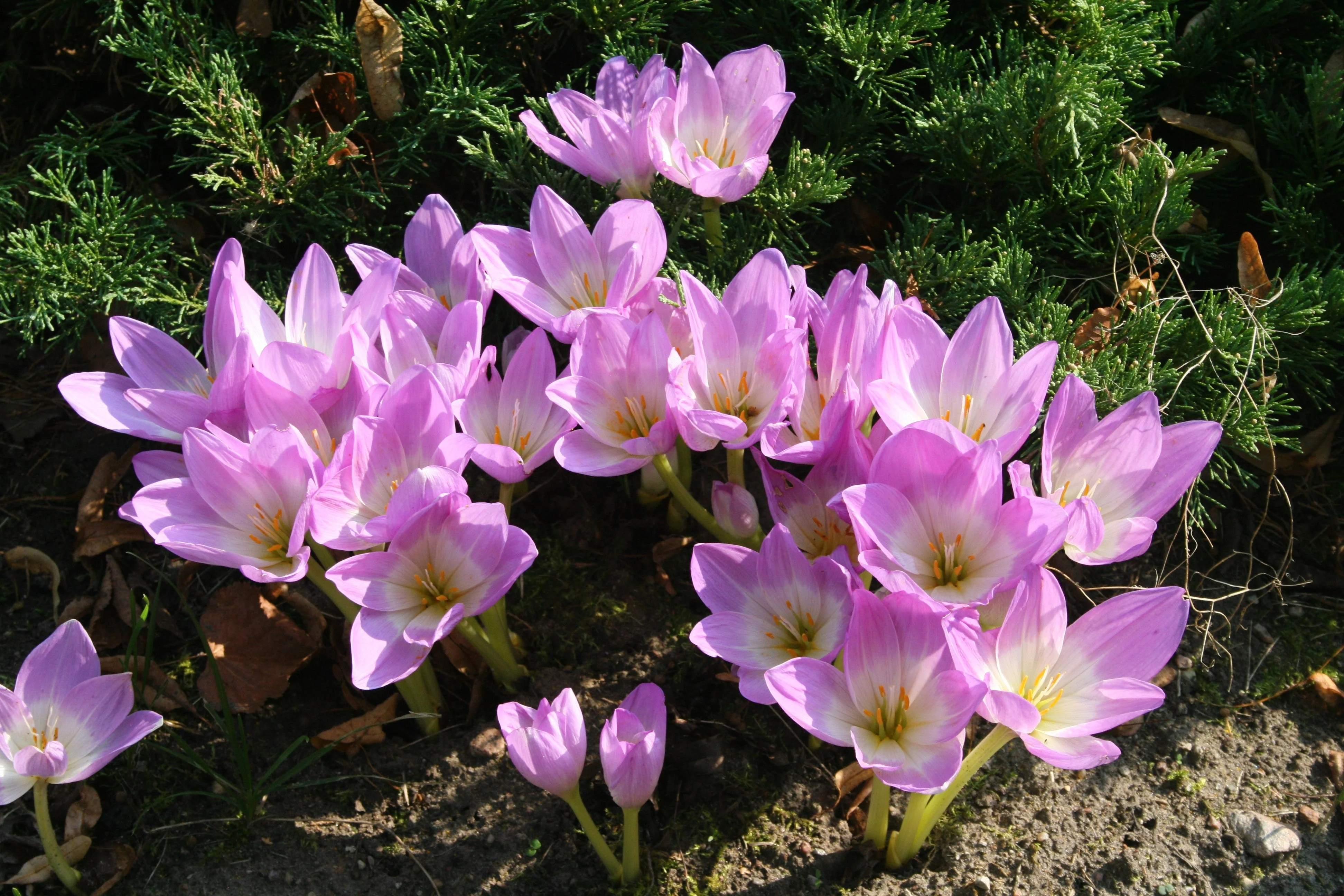 Thumbnail 9