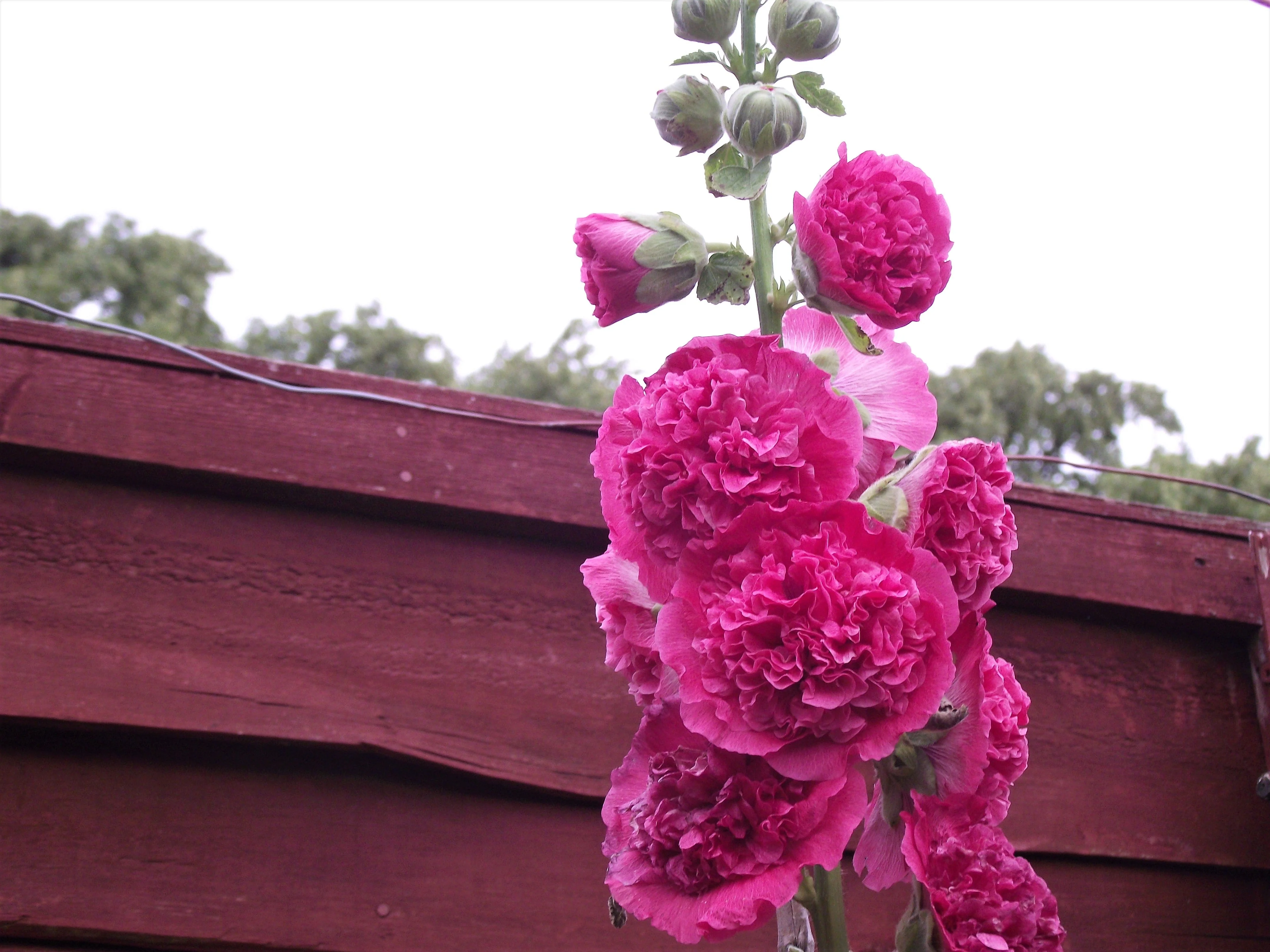 Thumbnail 23